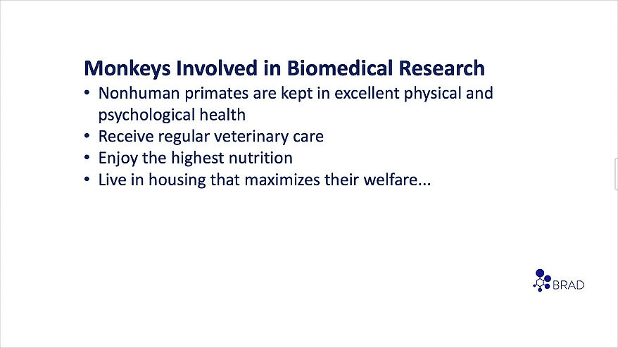 Monkeys in Research